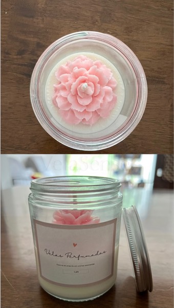 Clavel en Recipiente - Velasence Costa Rica