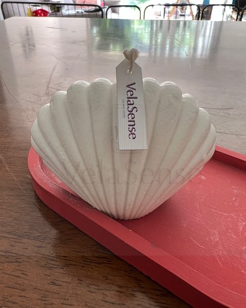 Concha - Velasence Costa Rica