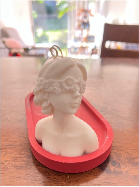 Flora - Velasence Costa Rica