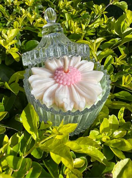 Margarita Cristal - Velasence Costa Rica