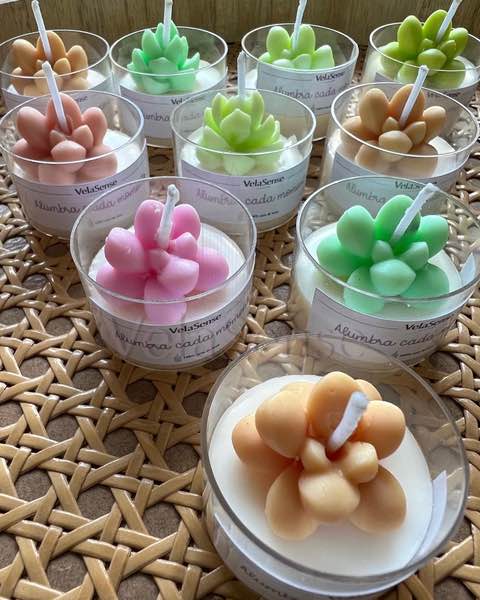 Mini Suculentas 30g - Velasence Costa Rica