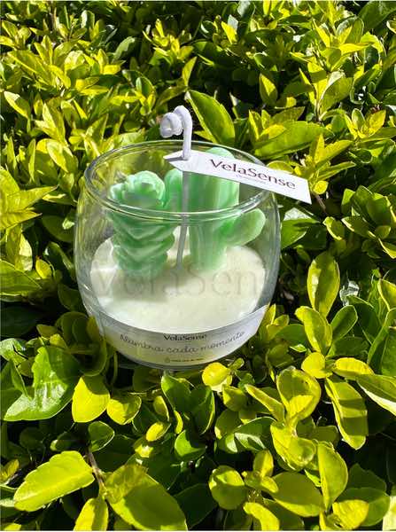 Mini Terrario - Velasence Costa Rica