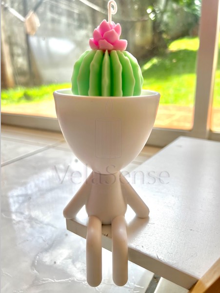 Muneco Cactus - Velasence Costa Rica