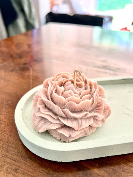 Peonia - Velasence Costa Rica