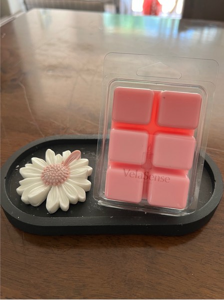 Wax Melt 60g - Velasence Costa Rica
